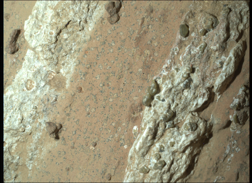 Close-up of the Martian rock Cheyava Falls showing pale and dark spotted textures observed by NASA’s Perseverance rover.
