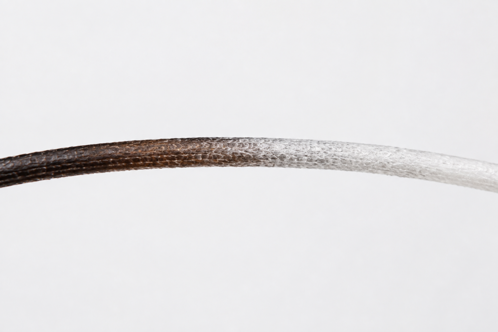 Macro image of a single hair strand transitioning from dark pigment to gray-white pigment